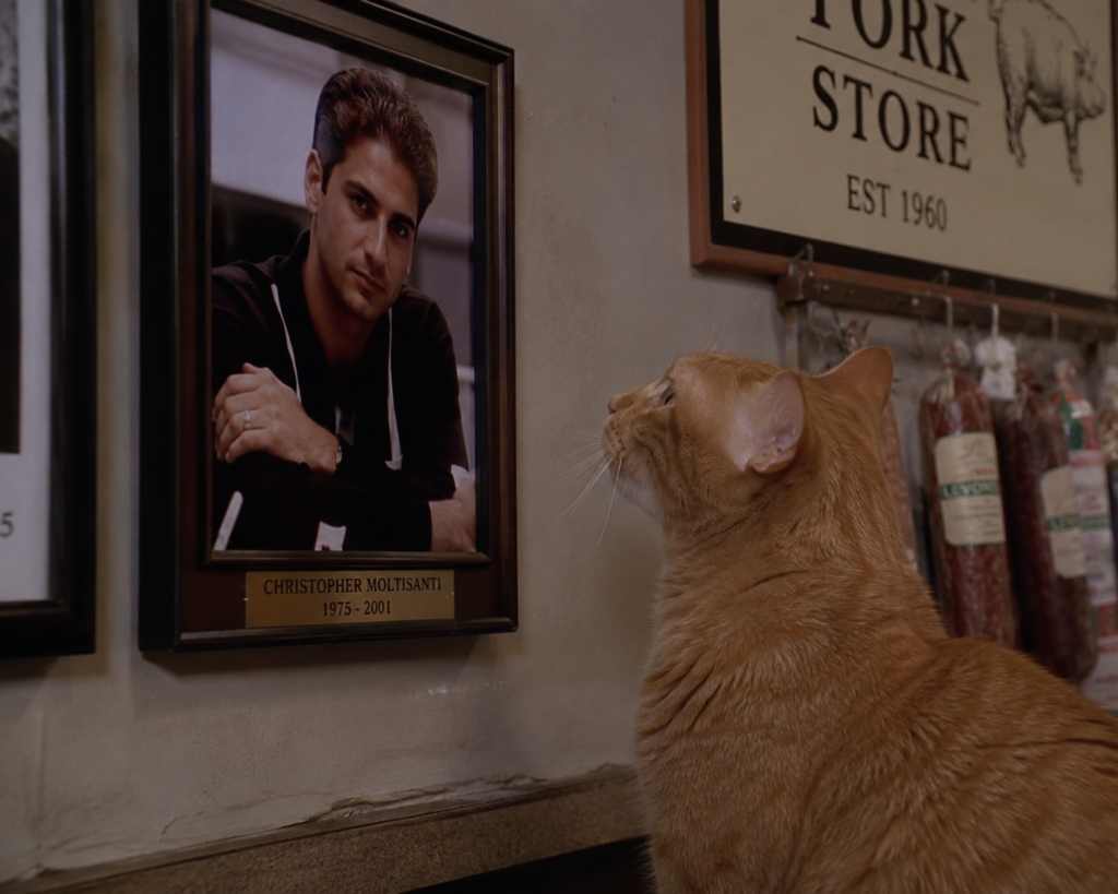The Sopranos Cat Symbolism